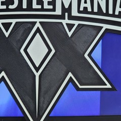 WWE Mattel WrestleMania XX 20 2004 8 X 7.5 Inch Logo Accessory
