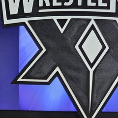 WWE Mattel WrestleMania XX 20 2004 8 X 7.5 Inch Logo Accessory