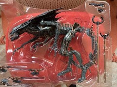 NECA Aliens Xenomorph Alien Queen Deluxe Action Figure 15 Inch Tall