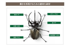 The Diversity of Life on Earth Beetle 10 Action Figure Bandai Capsule Toy