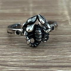 Trygod × Hysteric Glamour Unisex Scorpion Pinky Ring Silver Accessory Japan Used