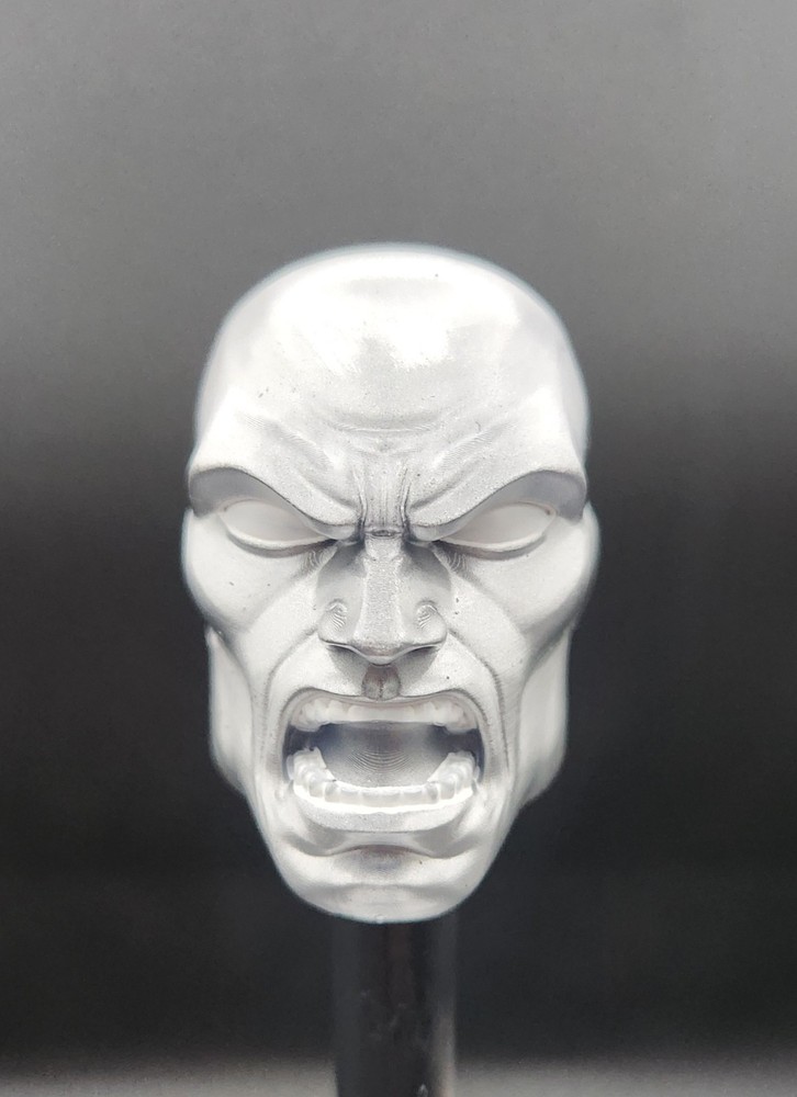 Marvel Legends Custom Silver Surfer Angry Head 1/12 Scale Painted