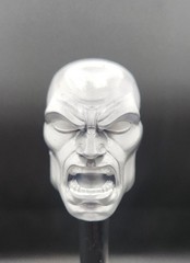 Marvel Legends Custom Silver Surfer Angry Head 1/12 Scale Painted