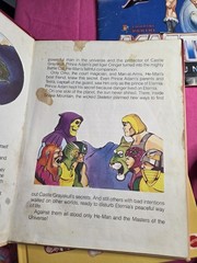 Vtg HE-Man sticker album Panini + Books + She-ra MOTU Lot of 7