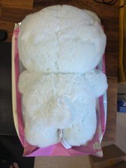 Nommi Good Night Bear 400% Series Plush WISH Mint Color Box Card