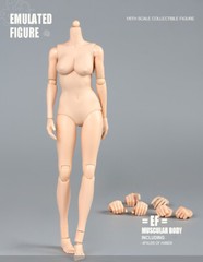 US SOTCK 1:6 Female Pale Skin Large Breast 12inch Flexible Figure Body Model Toy