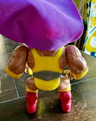 Chester the Wrestler 1992 Stone Protectors Action Figure Ace Novelty Complete