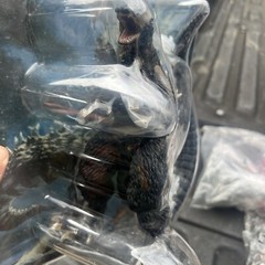 Bandai Museum Final Wars 2004 Godzilla Vinyl New Figure Popy Dai Kaiju Sofubi