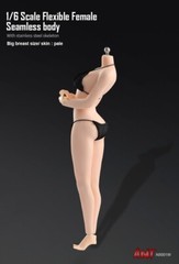 US 1:6 Pale Skin Large Bust Breast 12″ Female Seamless Flexible Figure Body Toys