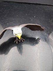 Boley Bald Eagle PVC Figure 7″ Wingspan Free Shipping! T2978