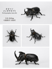 The Diversity of Life on Earth Beetle Vol. 06 Figure Bandai Capsule Toy Gashapon