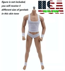 5 x 1/6 scale Light Suntan Skin GG Body Part For 12″ Male Figure Body PHICEN