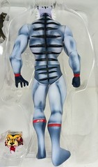 Xebec Toys Tiger Mask No 6 Tiger the Great Violence Action Figure Japan
