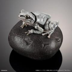 The Diversity of Life on Earth Tree Frog Figure 02 Set of 5 Complete Bandai
