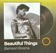 🎶 ZURU Mini Brands VINYL Series- *Common* BENSON BOONE – Beautiful Things