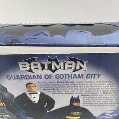 BATMAN Bruce Wayne Guardian Of Gotham City Hasbro Target Exclusive Open Box