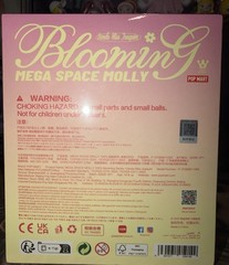 Authentic MEGA SPACE MOLLY 100% Blooming – Vanda Miss Joaquim SINGAPORE – Sealed