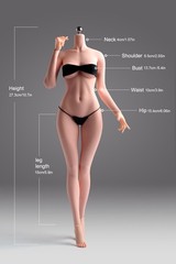 1/6 Female Pale Skin Large Breast Flexible Seamless Body&Details For 12”Figure