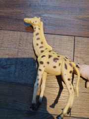 Nature Animals BUNDLE OF 4~ Giraffe, Lion, Hippo & Pig