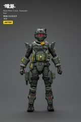JOYTOY 1:25 action figures Army Steel Ride Corps Assaulter Karl 3in toys