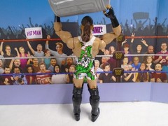 WWE Rob Van Dam From the Vault Elite Series 6 Figure 100% Complete Ringside RVD