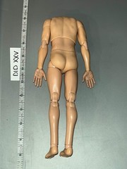 1/6 Scale Nude Basic Body – DID Steiner D80188