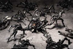 PSL SEXYiCE Vermin: Artificial Evolution B006 Ant 1/12 from JAPAN PRE ORDER