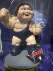 WWE X Garbage Pail Kids Figures Complete Set Andre Stone Cold Warrior Savage