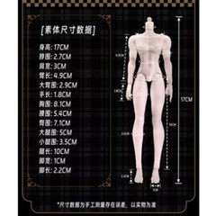 1/8 17cm Past Sicily MJD Movable Joint Body Anime Figure Replacement Model