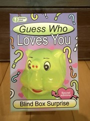 New Obvious Plant Guess Who Loves You Blind Box Surprise Figure Meme Art Toy