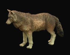 Wolf Animal Toy PVC Action Figure Doll Kids Toys Party Gifts