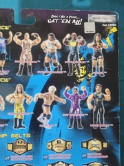 Jakks WWE Best Of ECW Rob Van Dam RVD Wrestling Action Figure New Box Damage