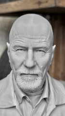 Breaking Bad Walter White / Heisenberg 3D Printed Bust Statue 6.75 Inches Gray