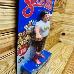 WWE Superstars LJN Series 2 ROWDY RODDY PIPER 1980’s 8″ Retro Figure BLUE CARD