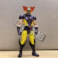 In Stock CT Toys Wolverine Hellverine Action Figure – Limited Edition New in Box