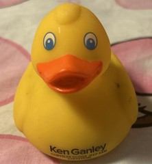Lot of 4 Promo Rubber Ducks – Ken Ganley Jeep, Autodesk, Tootris, WSU & HBC