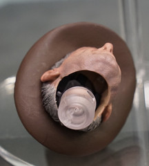 Hot Toys Indiana Jones Dial Of Destiny MMS717 Harrison Ford 1/6 Headsculpt