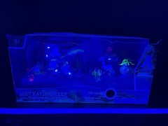 Avatar The Way of Water Metkayina Reef Playset Tonowari Ronal McFarland Toys NEW