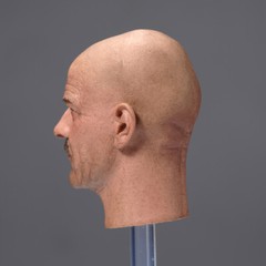1/6 Bryan Cranston Heisenberg Teacher Male Head Sculpt Model 12in Action Figures