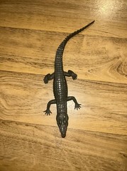 Alligator Crocodile Plastic Rubber Figure Fun Stuff Inc. 12″ Long