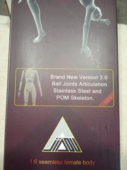 JIAOU DOLL 1/6 FEMALE SEAMLESS LARGE Bust Figure Body w/ Wheat skin
