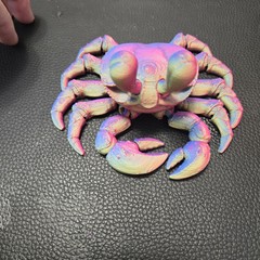 Ghost Crab Toy Articulated 3D Printed Handmade Novelty Varying Colors