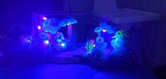 McFarlane Avatar World of Pandora Light-Up Metkayina Reef & Rainforest Lot