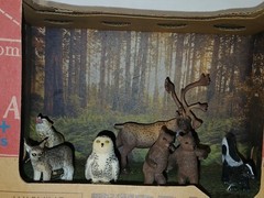 New Terra North American Wild Animals Forest Figures Play Set Toys Box