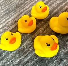 Rubber Duck Mini Lot Of 5 Decor Car Home Cruise Jeep Ornament Cute Ducky 1.25 in