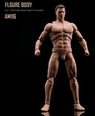 USA Stock ANT 1/12 Flexible Muscular Male Head Body Model Toys 6” Action Figure
