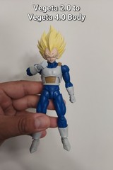 Dangerous Pride Vegeta Conversion Pegs – READ DESCRIPTION!