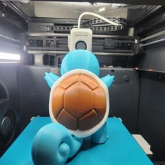 The Original 3 Starter Types Free Shipping