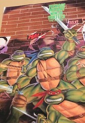 Vintage 1989 TMNT Teenage Mutant Ninja Turtles The Movie Poster Original 16×20