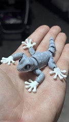 3d printed Glow In the dark Gecko